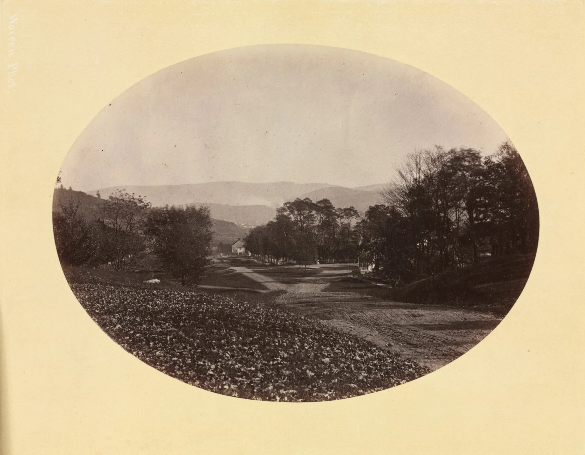 A Road in Williamstown, detail