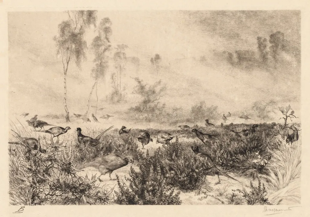 Morning Mists (Brumes de Matin), by Félix Bracquemond, 1880