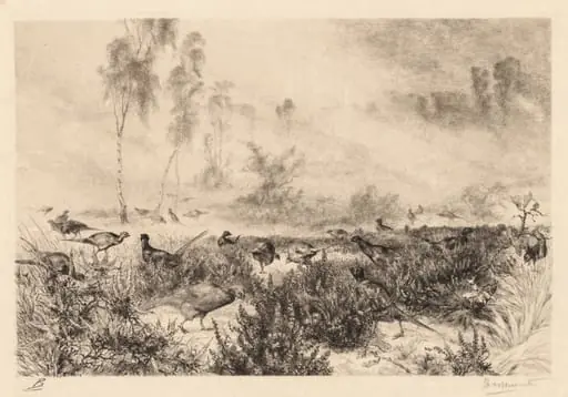 Morning Mists (Brumes de Matin), by Félix Bracquemond, 1880
