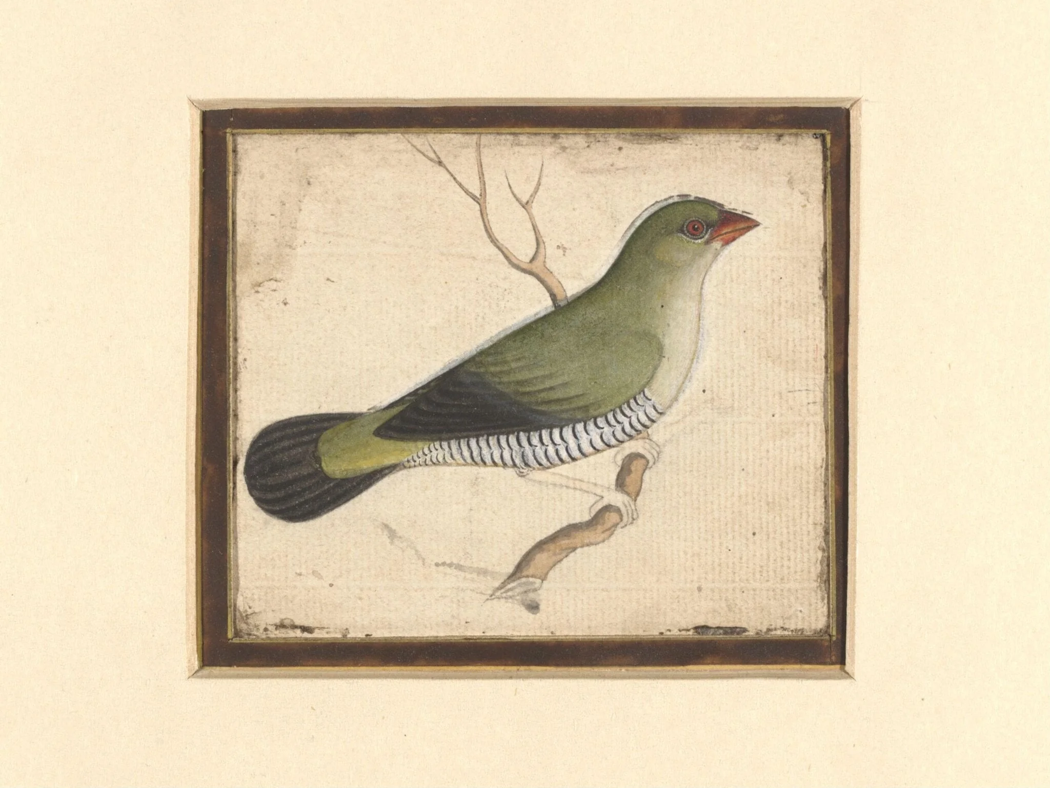 Two paintings of birds on a single sheet, detail