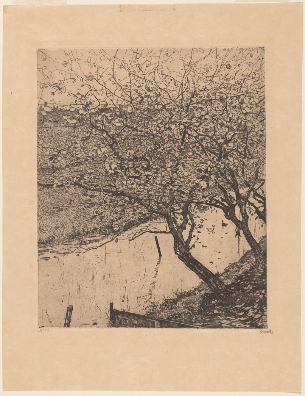 Apple Trees along the Side of a Ditch, by Pieter Dupont, ink, 1894