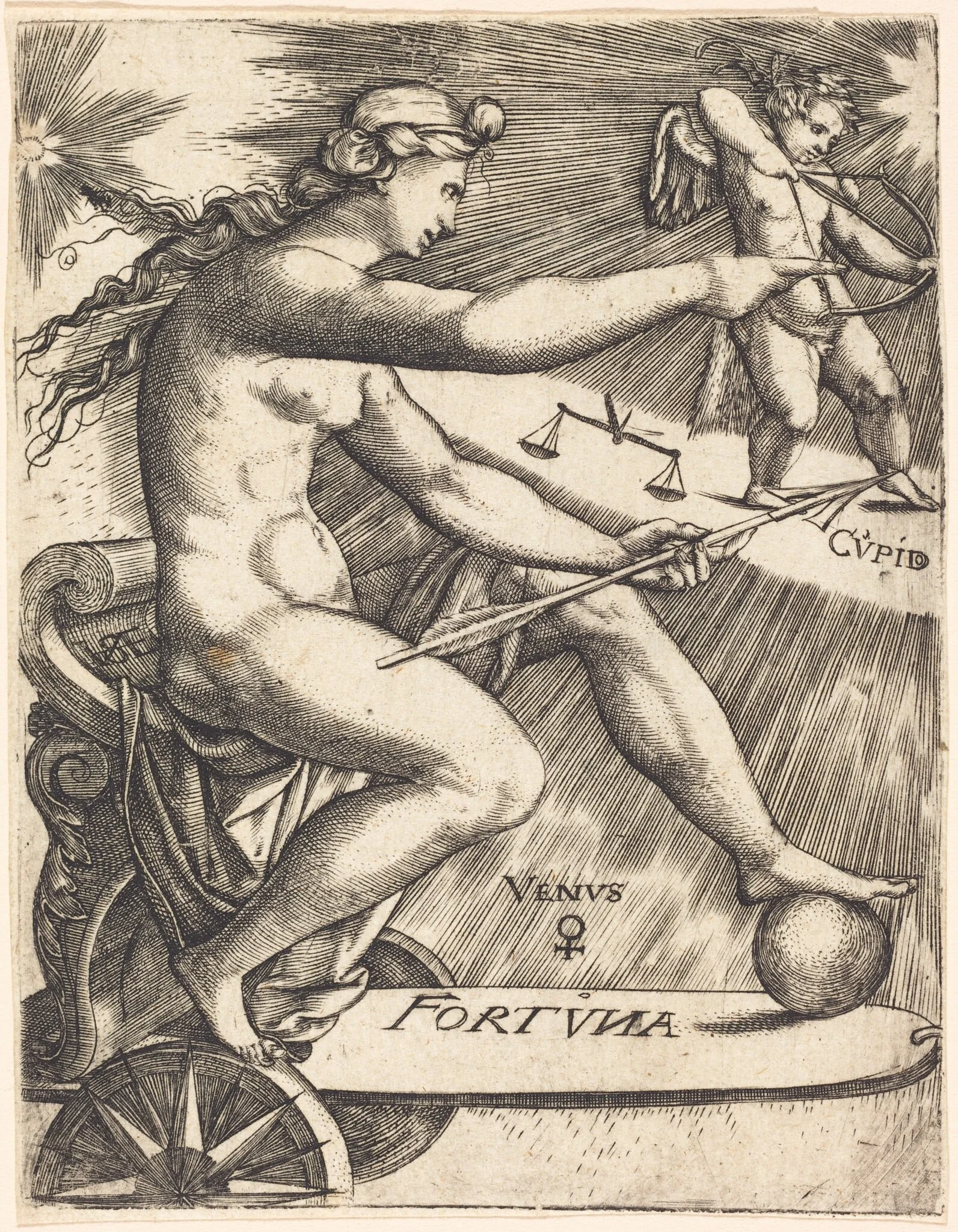 Venus, detail