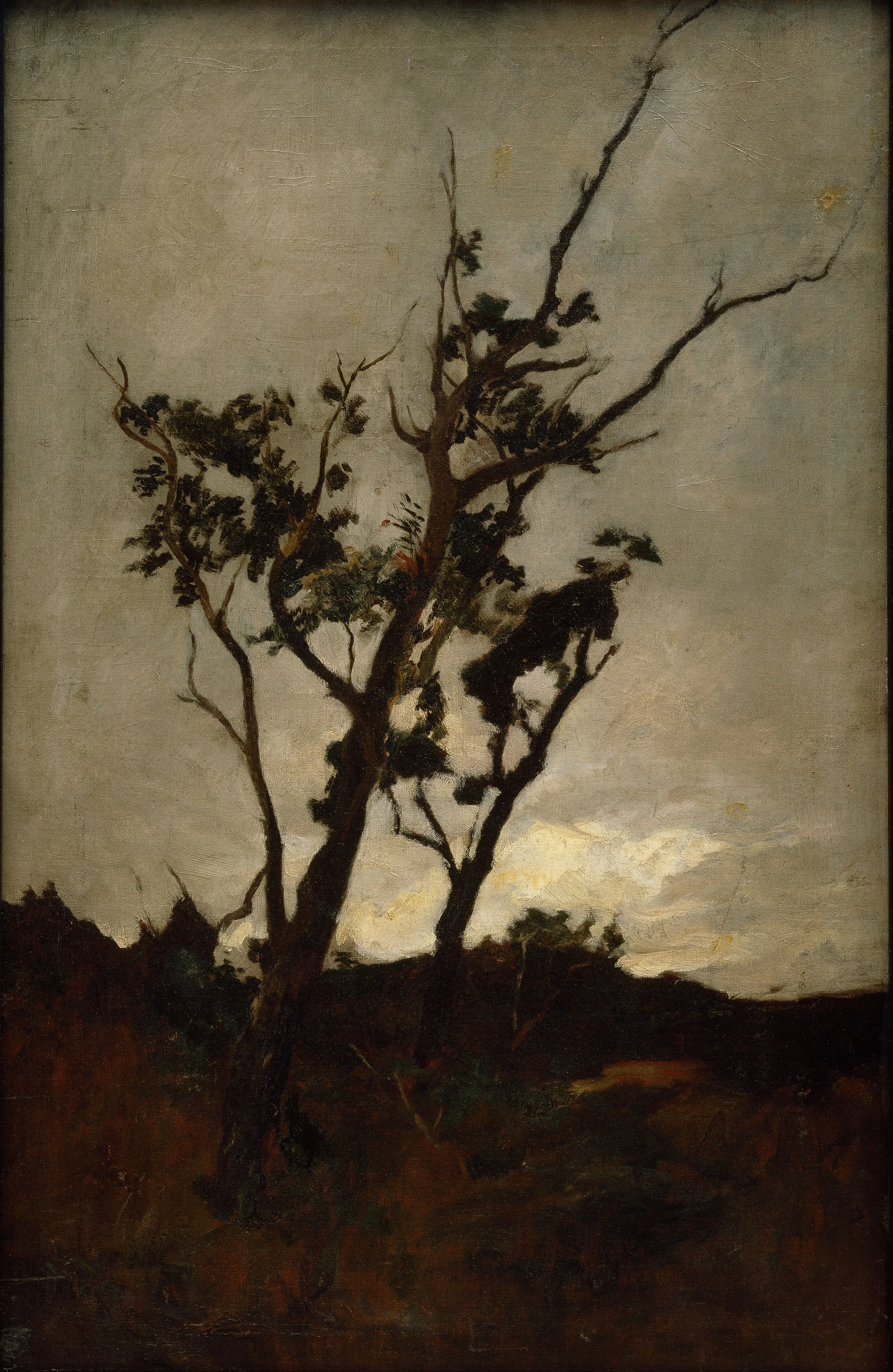 Tree study, detail