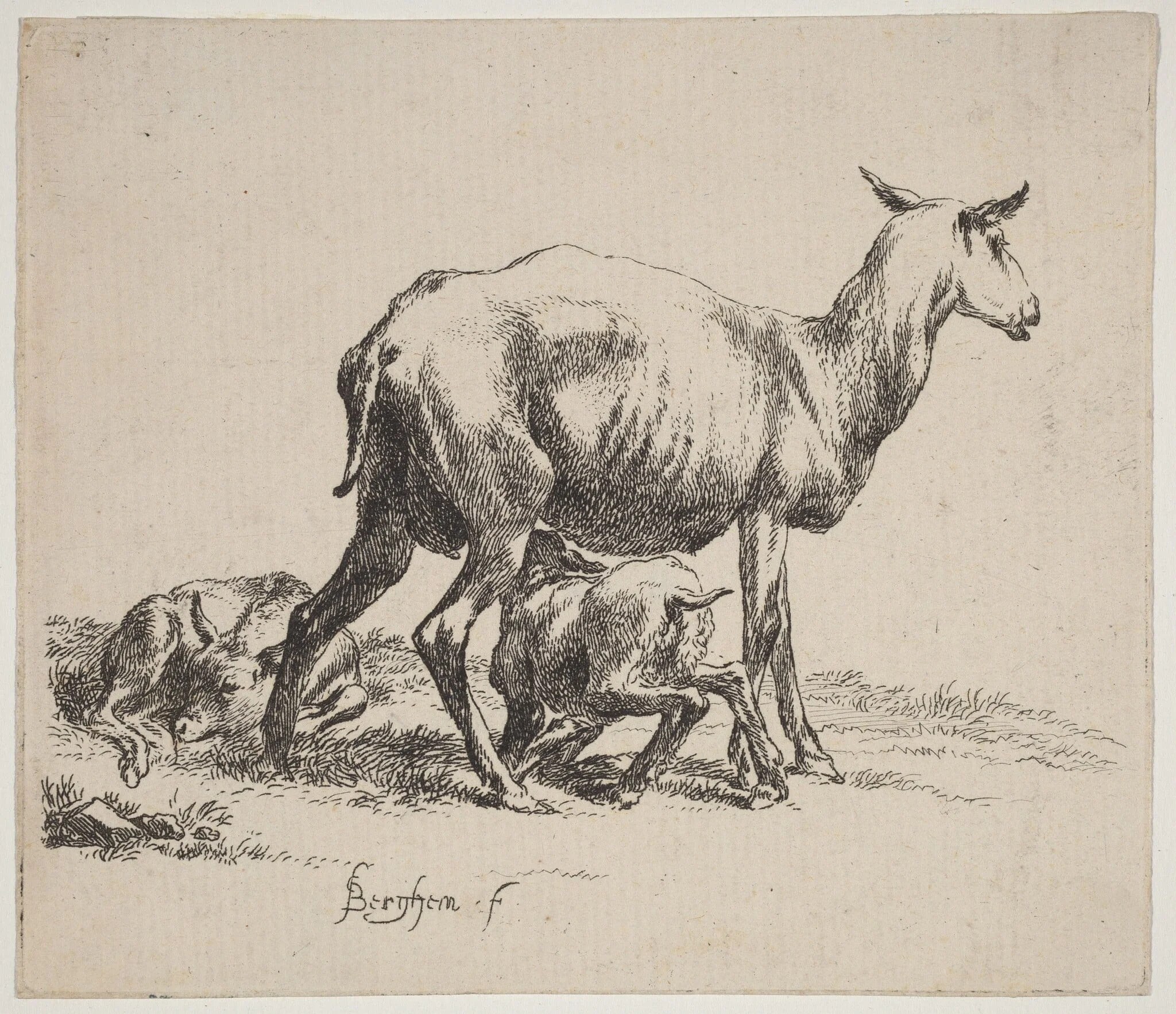 Ewe Nursing Her Lamb, detail