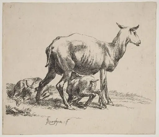 Ewe Nursing Her Lamb, by Nicolaes Pieterszoon Berchem, ink, 1640