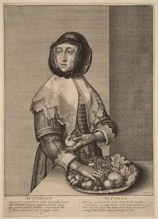 Autumn, by Wenceslaus Hollar, ink, 1641