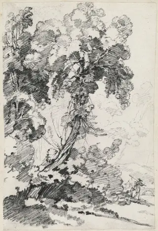 A Towering Tree with Travelers, by Joseph-Marie Vien, chalk, 1748