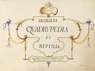 Title Page, by Joris Hoefnagel, gouache, 1594