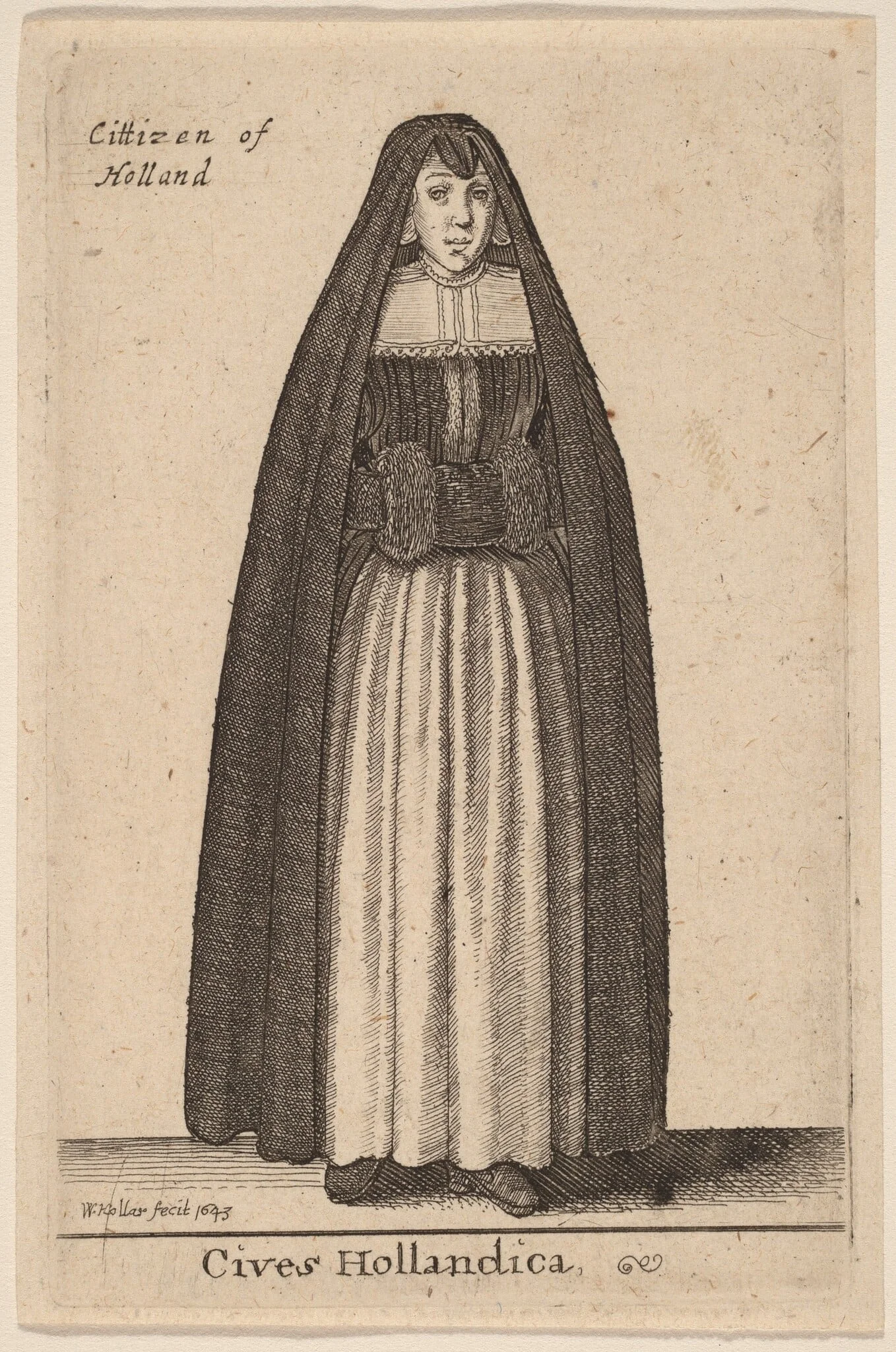 Cives Hollandica, detail