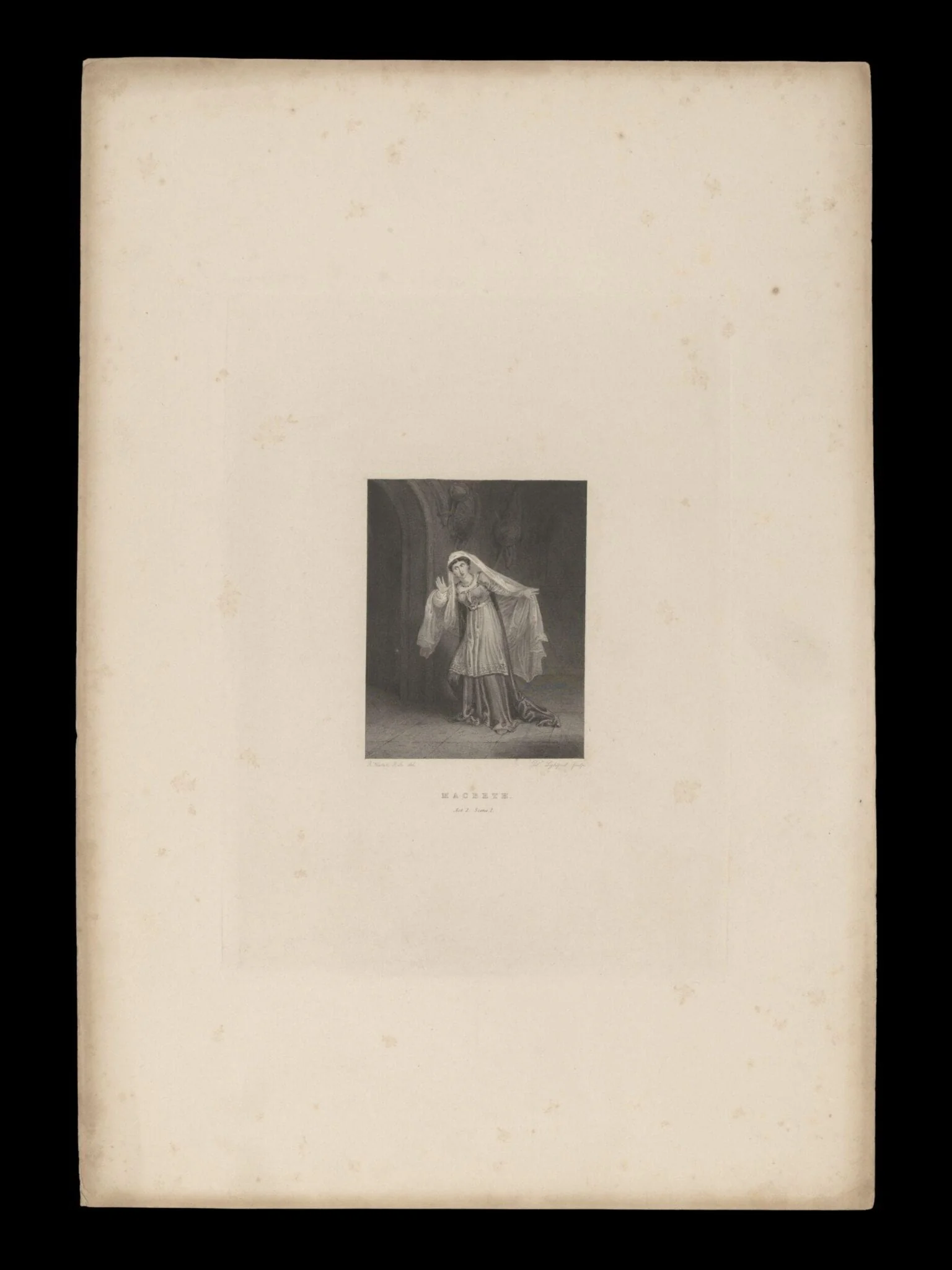 H Beard Print Collection, detail