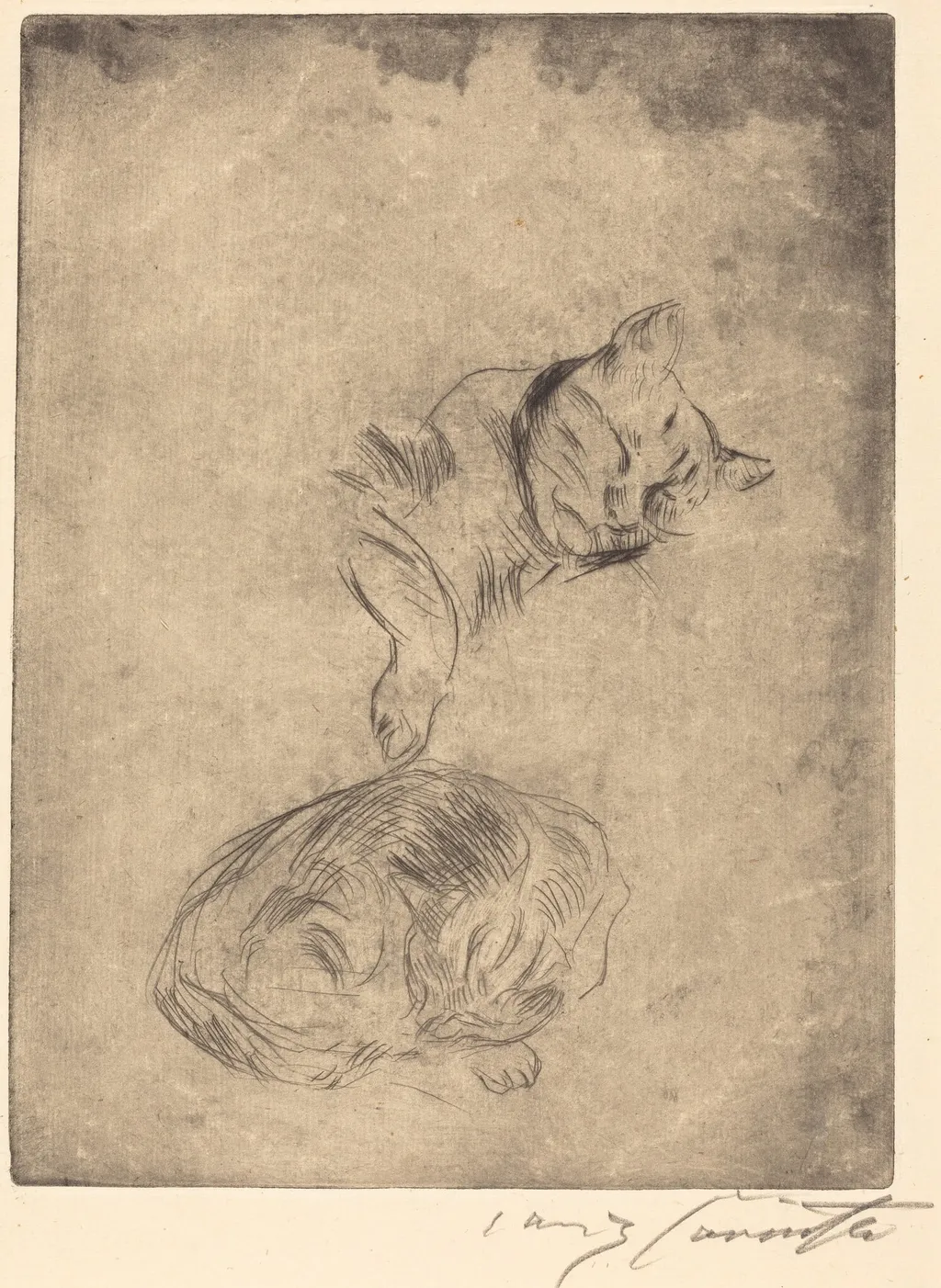 Katzenstudie (Study of Cats), by Lovis Corinth, ink, 1920