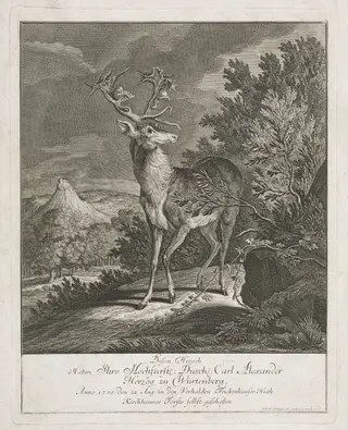 A Magnificent Stag in a Landscape, by Johann Elias Ridinger, ink, 1735