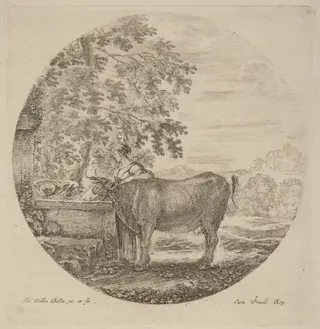 Cow and Young Shepherd at a Fountain, by Stefano Della Bella, ink, 1637