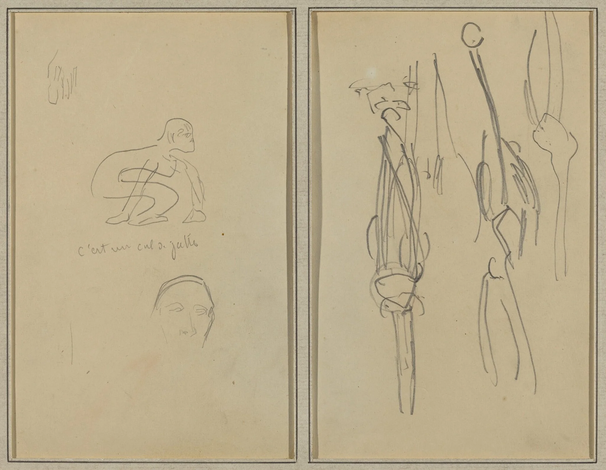 Crouching Monkey and Man's Head; Bones and Muscles [verso], detail