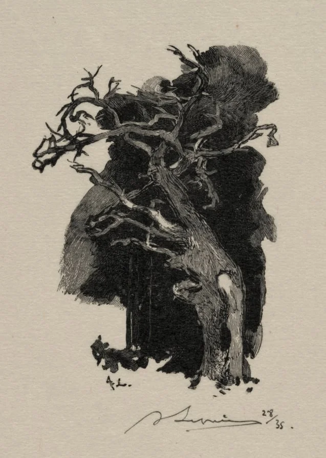 Le Rageur, detail