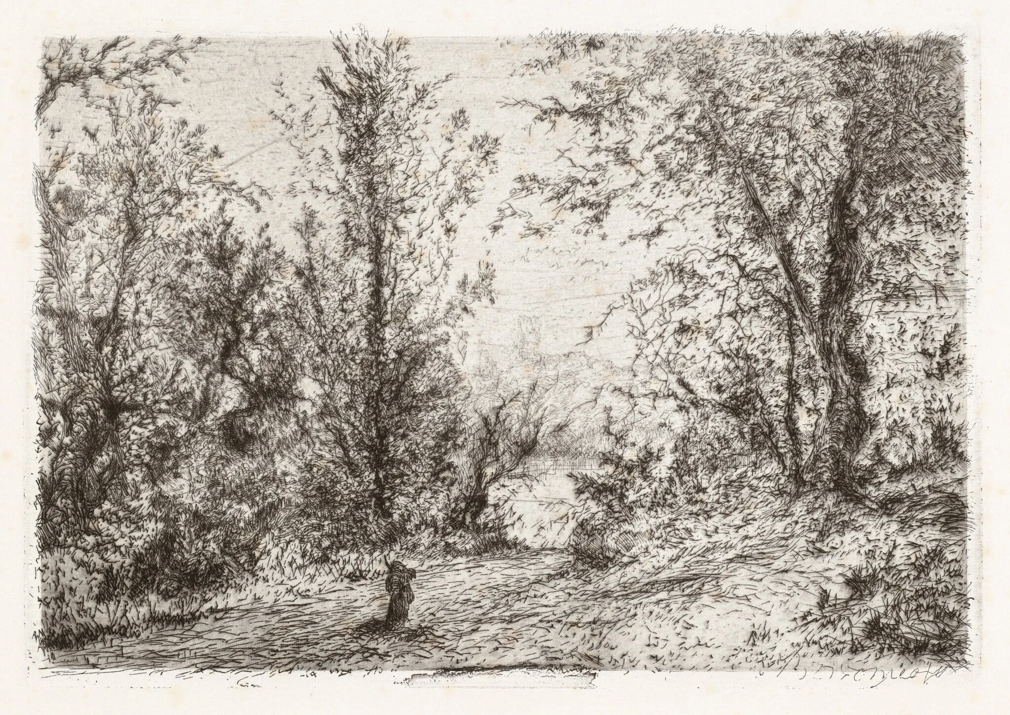 Forest on Lago Maggiore [Foresta sul Lago Maggiore], detail