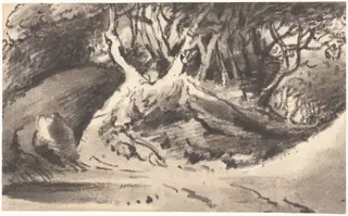 Wooded Landscape, by Thomas, Dr. Monro, chalk, 1796