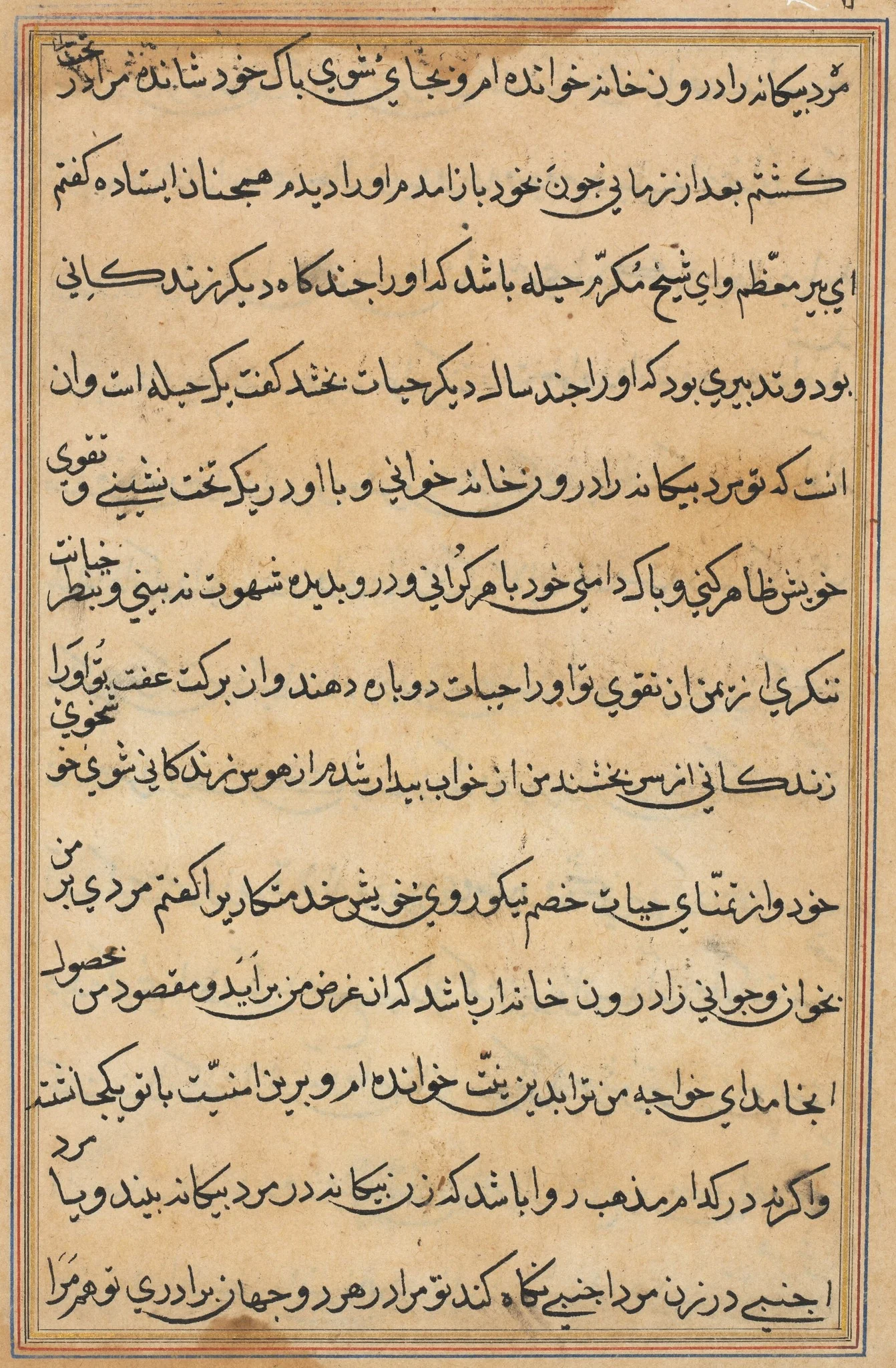 Page from Tales of a Parrot (Tuti-nama): text page, detail