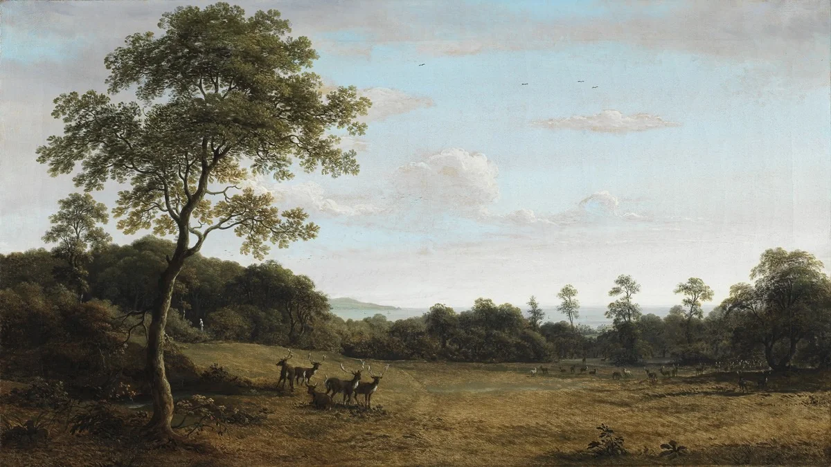 View in Mount Merrion Park, detail