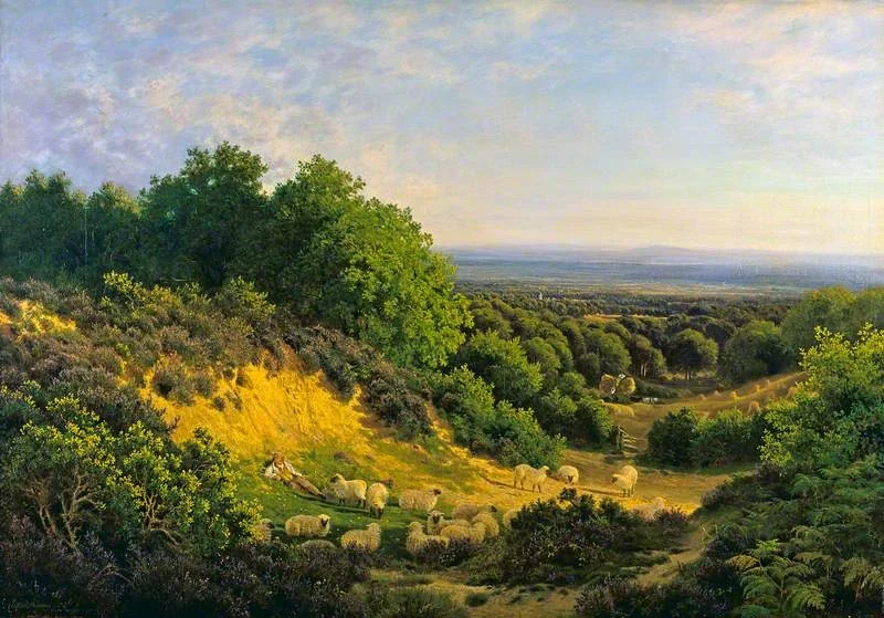 The Evening Sun: View on Ewhurst Hill, near Guildford, detail