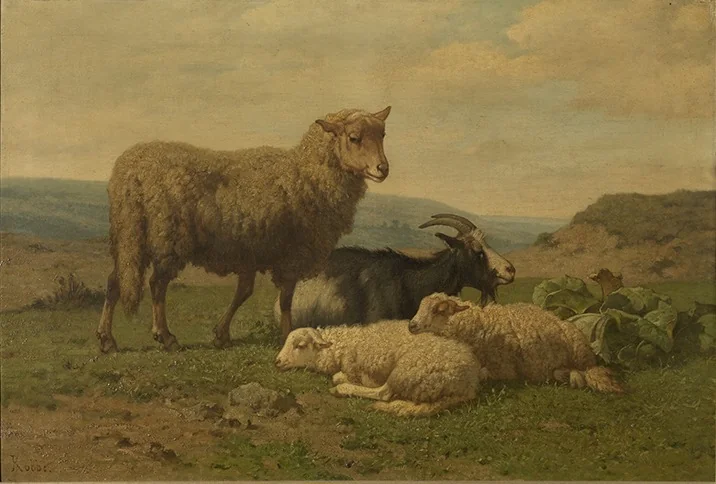 Kleinvee in het veld, detail
