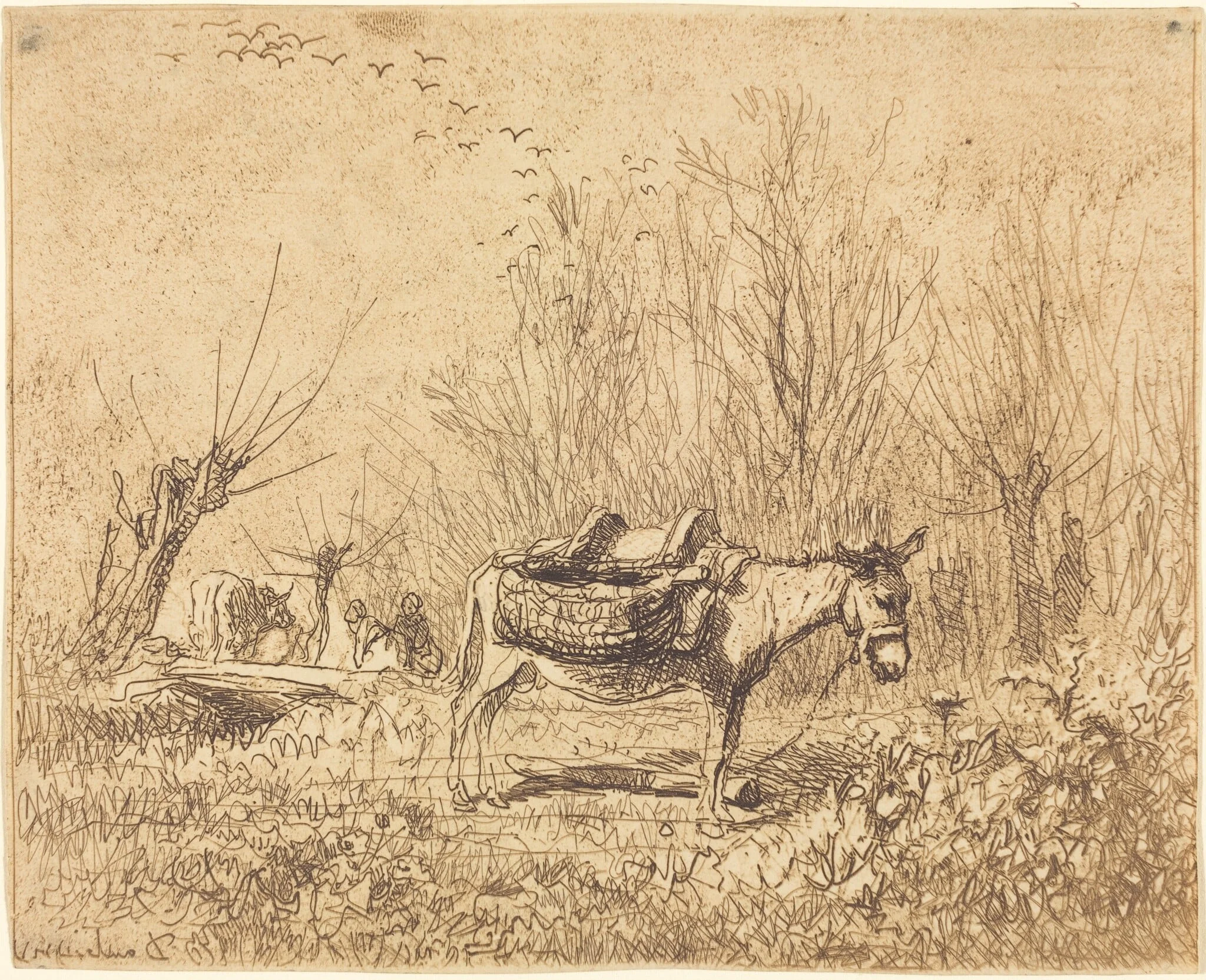 Donkey in a Field (L'Ane au pre), detail