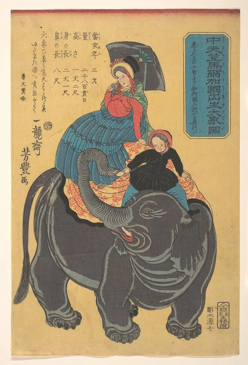 Chū tenjiku Maruka koku shūsshō daizō zu|Picture of an Elephant Born in Maruka in Central India, detail