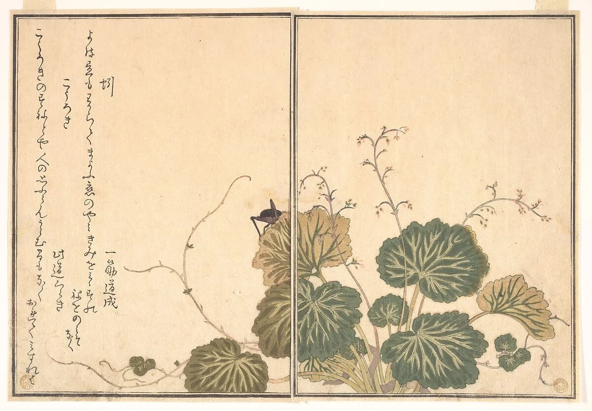 『画本虫撰』「蚓」「こうろき」|Earthworm (Mimizu); Cricket (Kōrogi), from the Picture Book of Crawling Creatures (Ehon mushi erami), detail