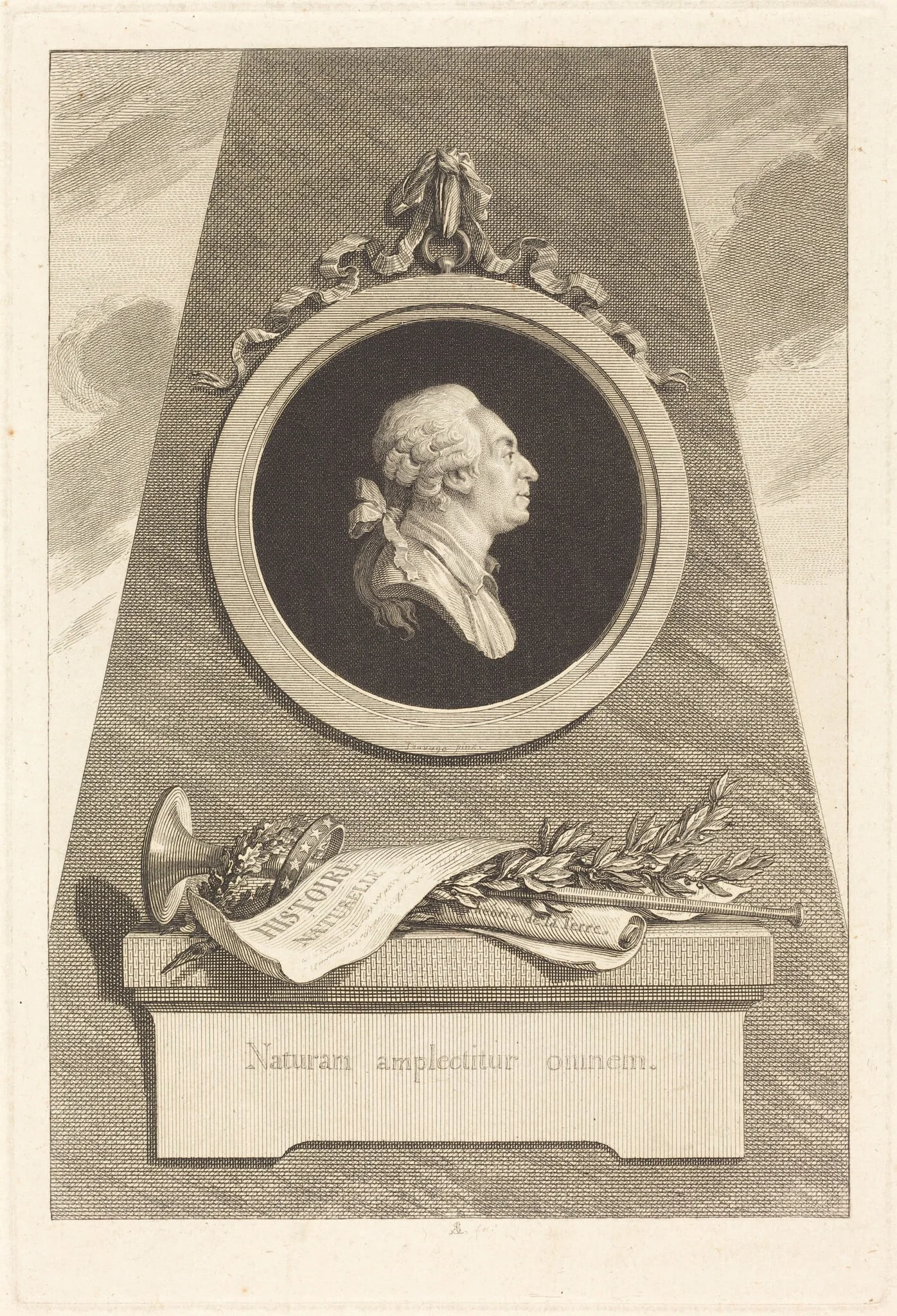 Comte de Buffon, detail