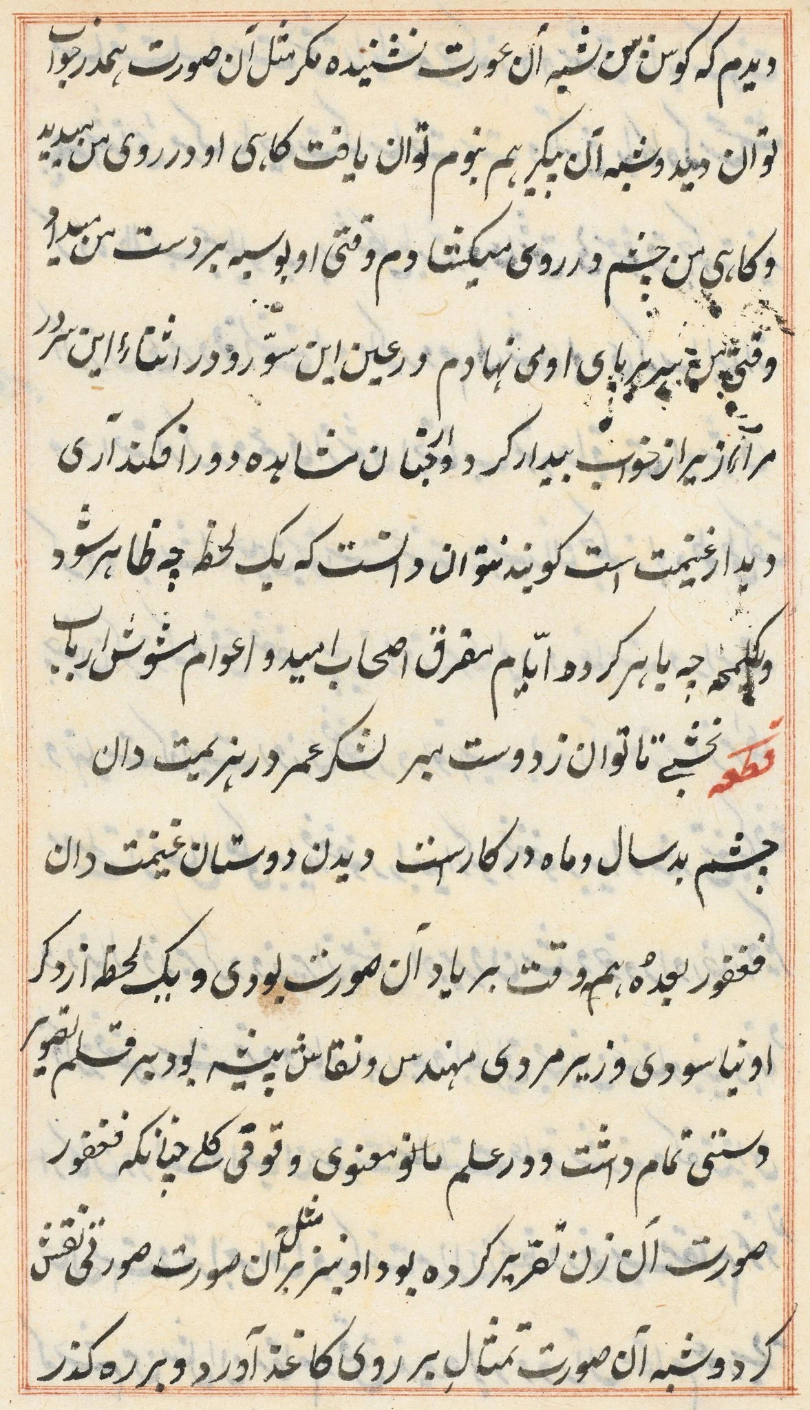 Page from Tales of a Parrot (Tuti-nama): text page, detail