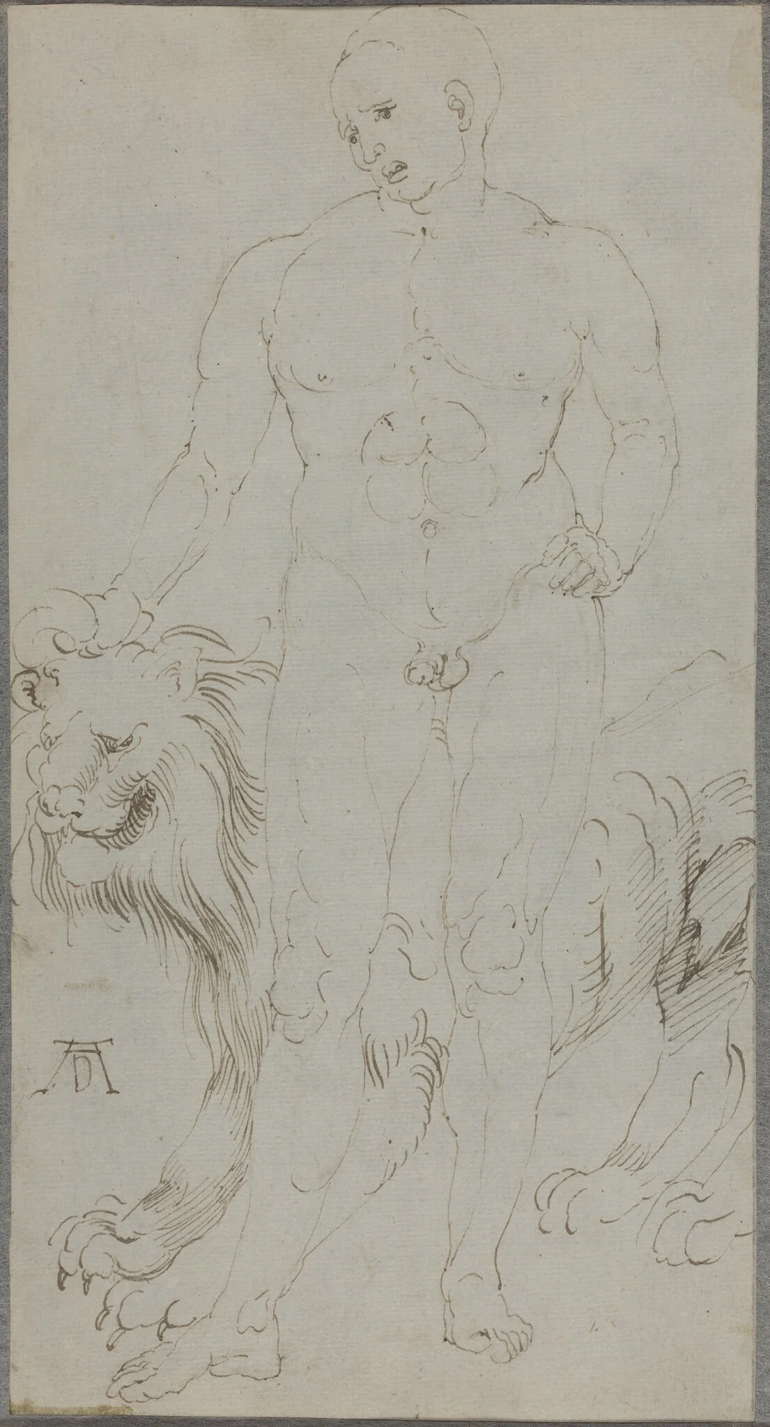 Male Nude with a Lion [verso], detail