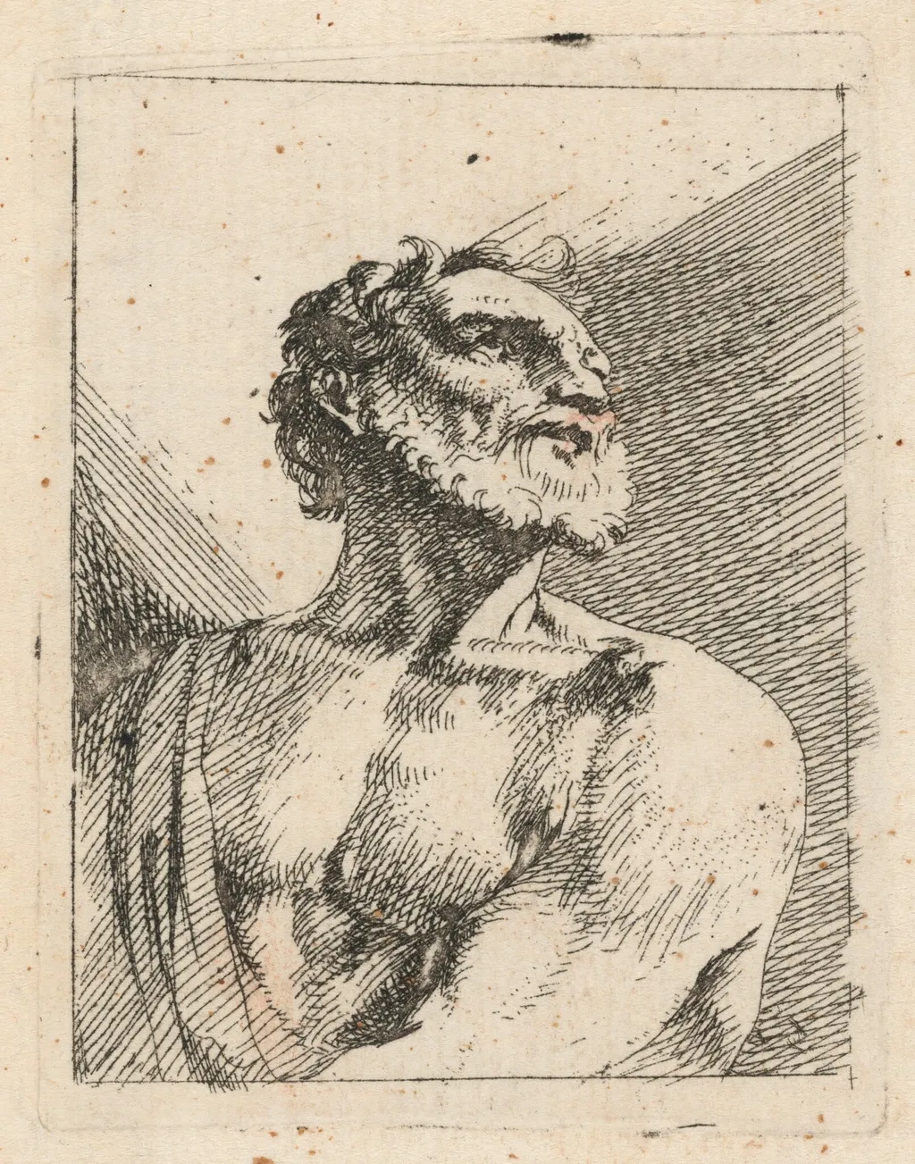 Bust of a Bearded Man, by Johann Heinrich Schönfeld, ink, 1626