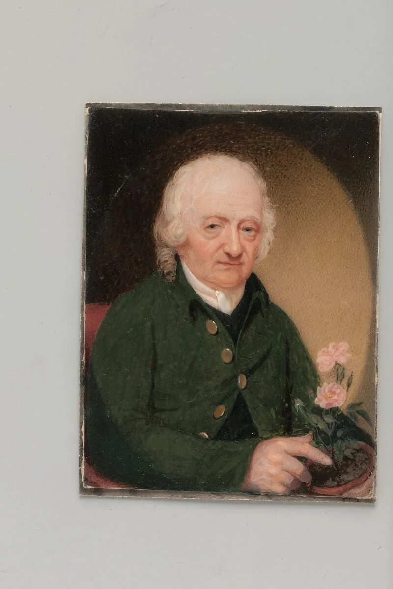 Portrait of a Gentleman, detail