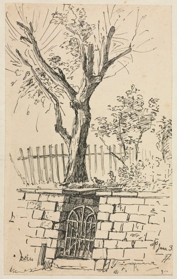 Tree on Top of a Stone Wall, Cleveland, detail