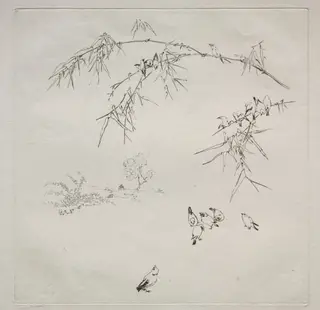 Parisian Service (Haviland service): Rain (no. 10), by Félix Bracquemond, 1875