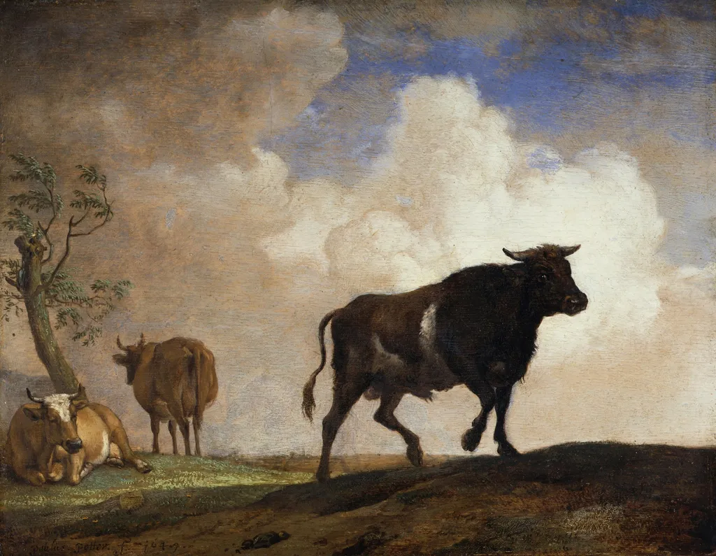The Steer, by Paulus Potter, wood, 1649