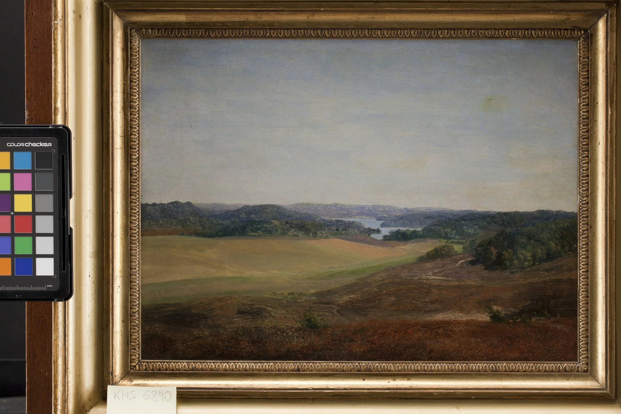 Landscape near Silkeborg, Jutland, detail