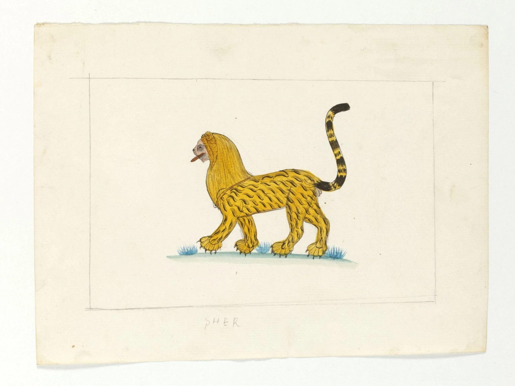 A lion-cum-tiger with a mane, detail