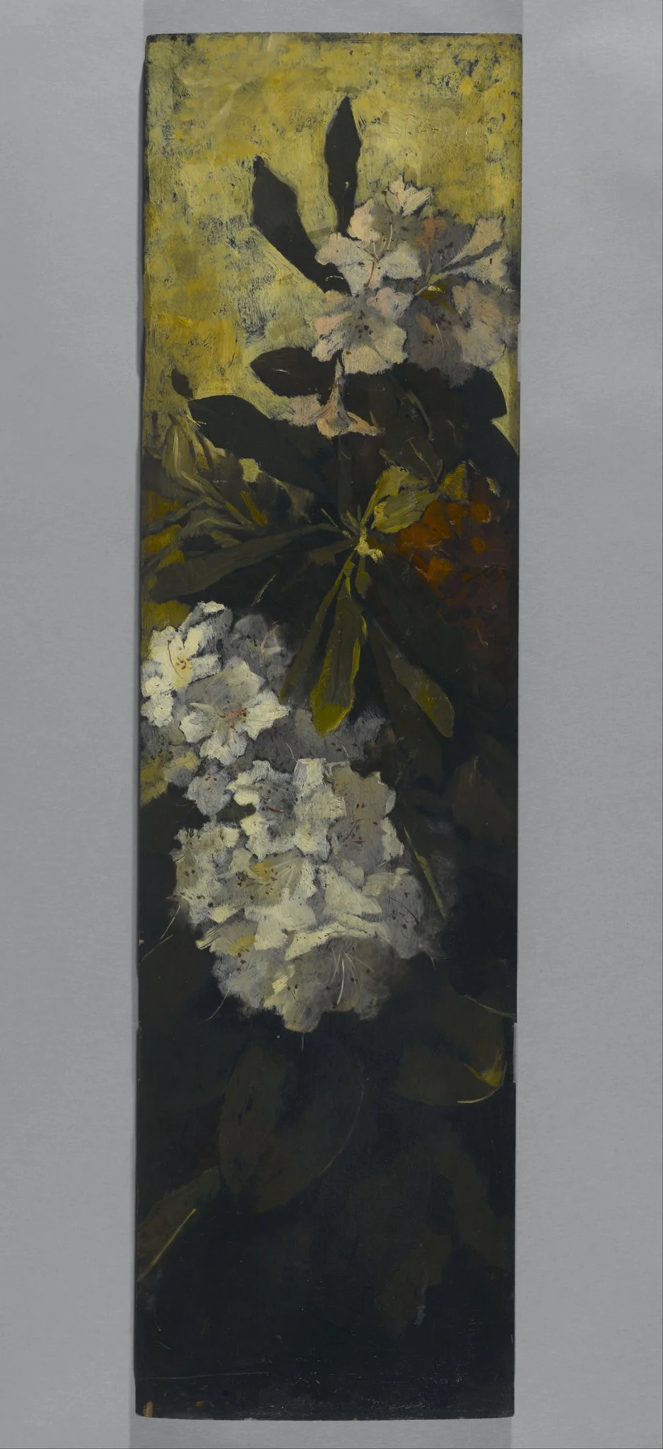 Rhododendrons, detail