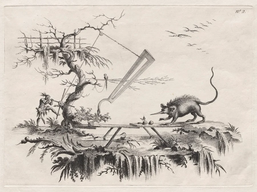 A new device to cleave wild beasts from Head to Tail, detail
