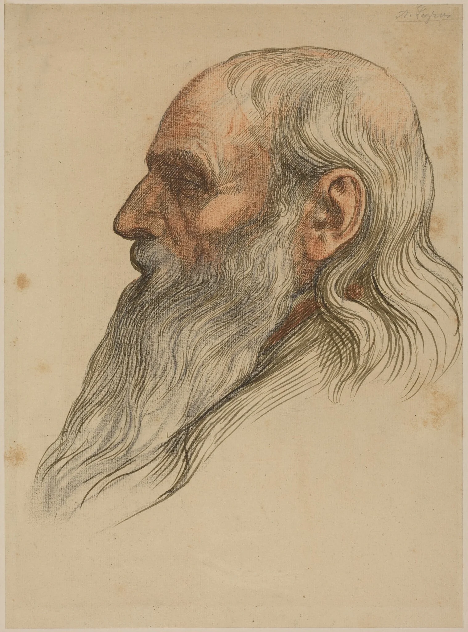 Study of a Man's Head with a Full Beard, detail