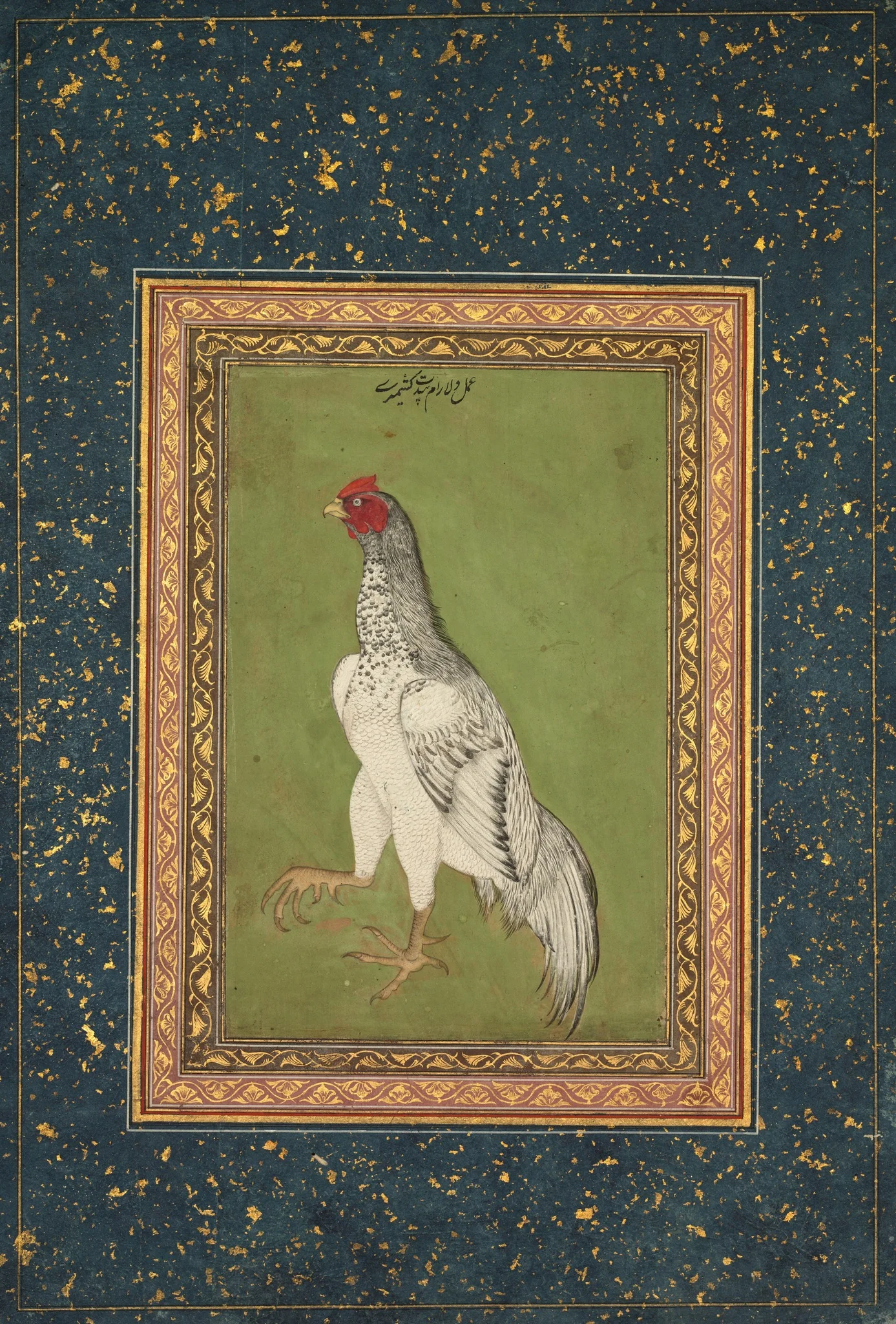 Rooster, detail