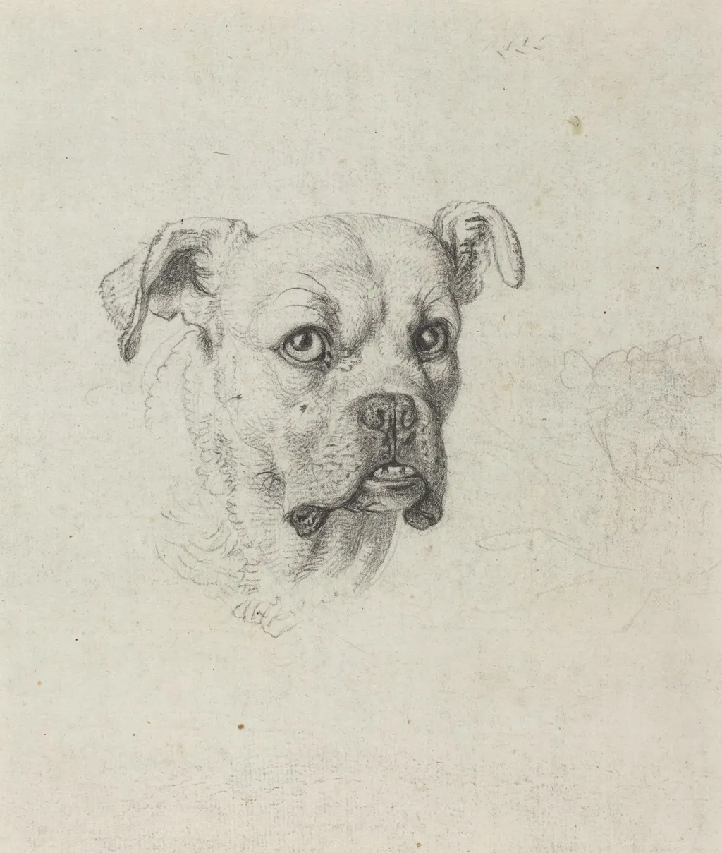 A Boxer, by Johann Heinrich Wilhelm Tischbein, chalk, 1795