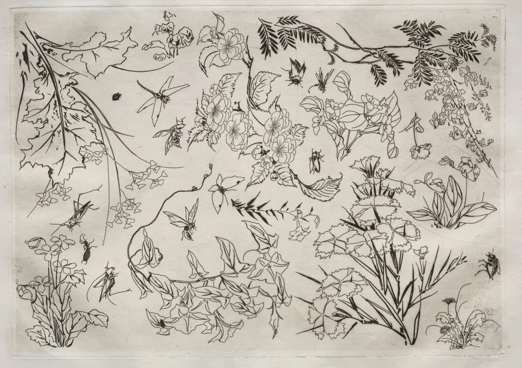 Dinner Service (Rousseau service): Flowers (no. 22), by Félix Bracquemond, 1866