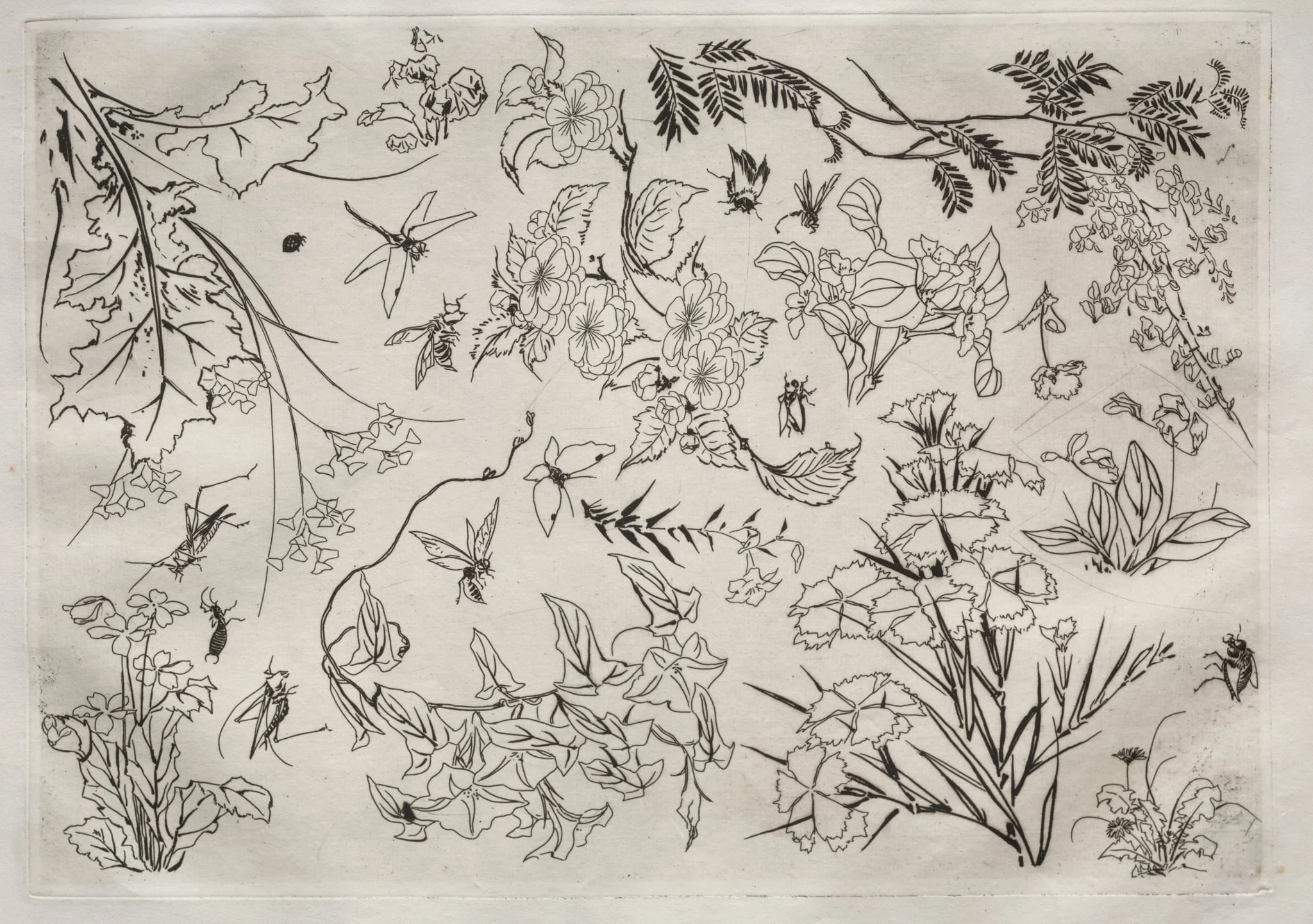 Dinner Service (Rousseau service): Flowers (no. 22), detail