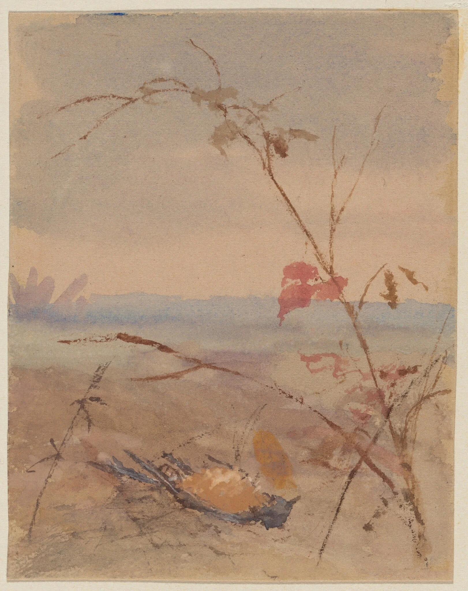 Dead Yellow-breasted Bird in Autumn Landscape, detail