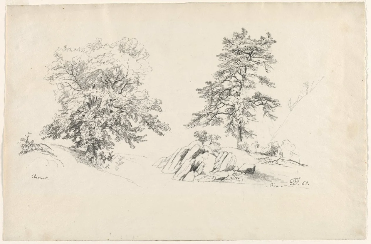 Chestnut and Pine, detail