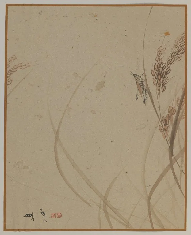 Grasshopper on Stalk of Rice, detail
