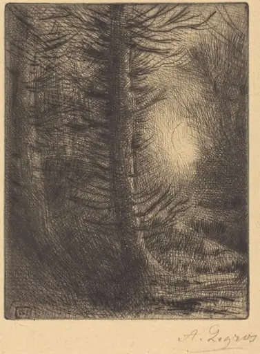Woods in Winter Sun, 1st plate (Soleil d'hiver dans les bois), by Alphonse Legros, ink, 1874