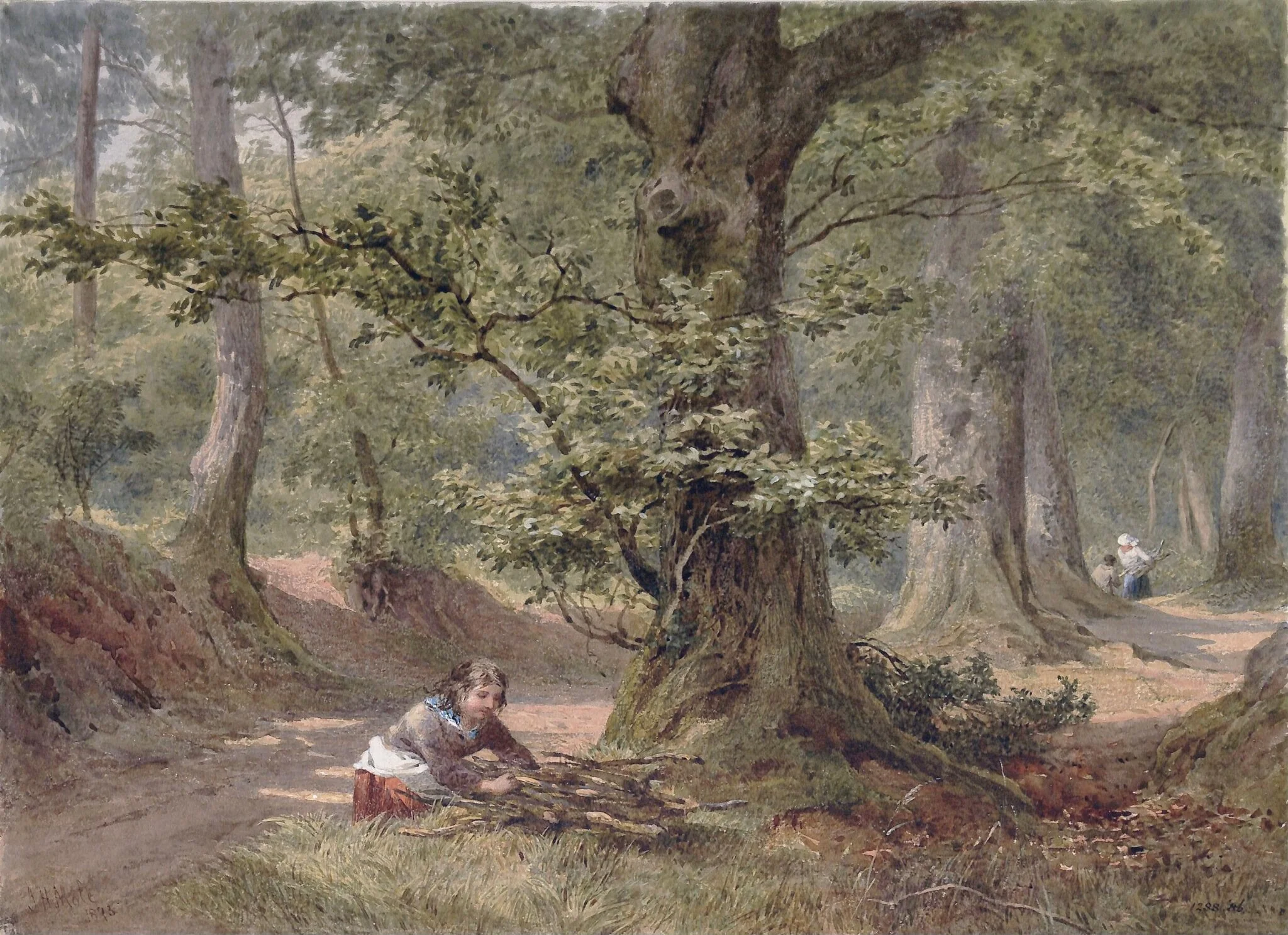 Hellersdon Wood, Devonshire, detail